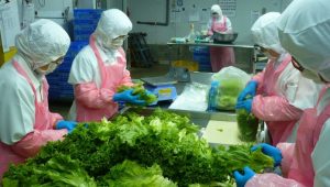 Huyện Văn Chấn thực hiện tốt an toàn thực phẩm  trong dịp Tết Nguyên đán Quý Mão và mùa Lễ hội Xuân 2023